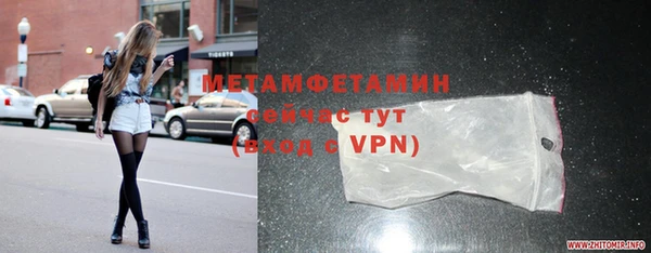 индика Елабуга