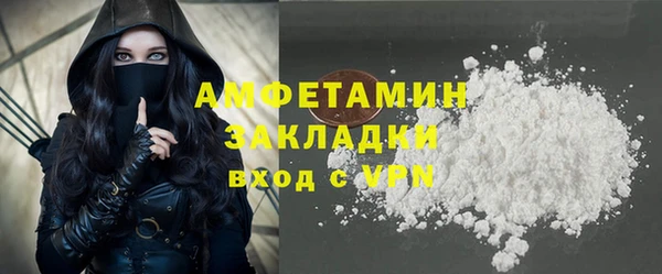 индика Елабуга