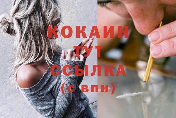 индика Елабуга