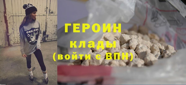 индика Елабуга