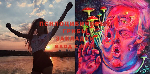 индика Елабуга