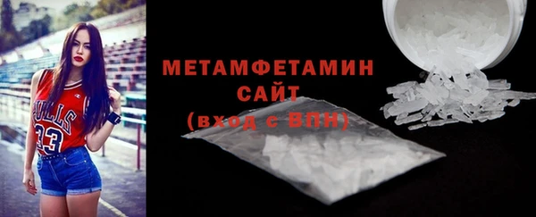 индика Елабуга