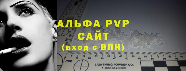 индика Елабуга