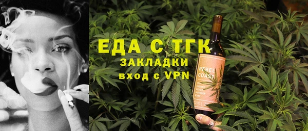 индика Елабуга