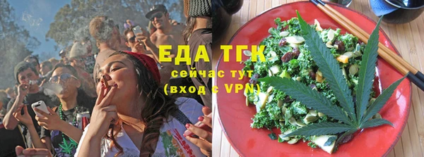 индика Елабуга