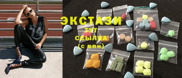 индика Елабуга