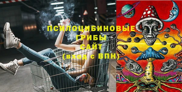 индика Елабуга