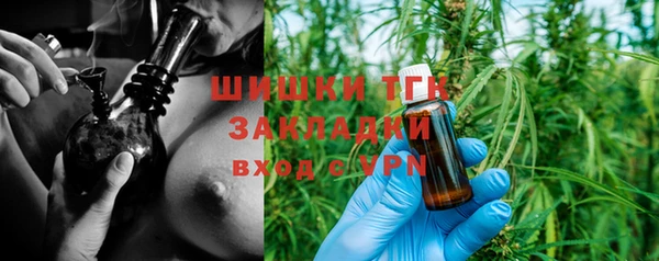 индика Елабуга