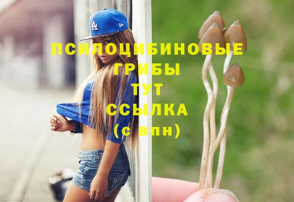 индика Елабуга