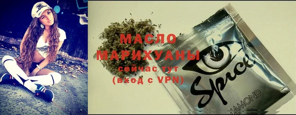 индика Елабуга