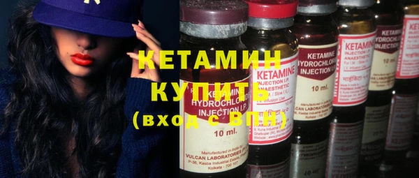 индика Елабуга