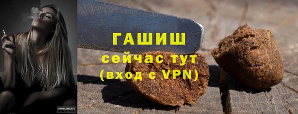 индика Елабуга