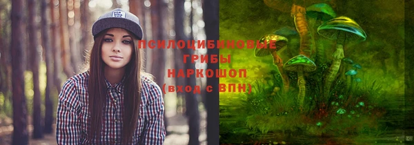 индика Елабуга