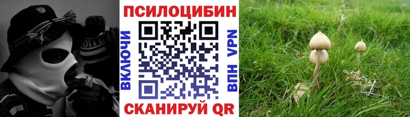 Галлюциногенные грибы Psilocybe kraken вход Петров Вал